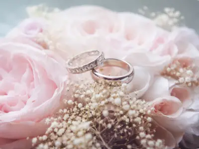 Elegant rings on rose petals1.webp